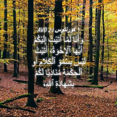 Picture 04 - ١ كورنثوس 2:1 AVD - وَأَنَا لَمَّا أَتَيْتُ - Bible Verse Picture