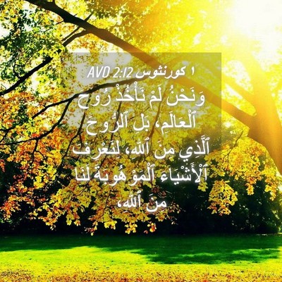 Picture 04 - ١ كورنثوس 2:12 AVD - وَنَحْنُ لَمْ نَأْخُذْ - Bible Verse Picture