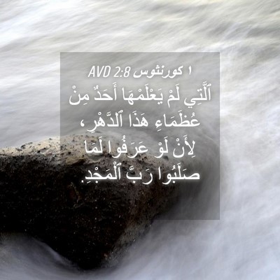 Picture 04 - ١ كورنثوس 2:8 AVD - ٱلَّتِي لَمْ يَعْلَمْهَا - Bible Verse Picture