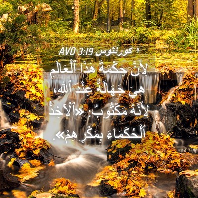 Picture 04 - ١ كورنثوس 3:19 AVD - لِأَنَّ حِكْمَةَ هَذَا - Bible Verse Picture