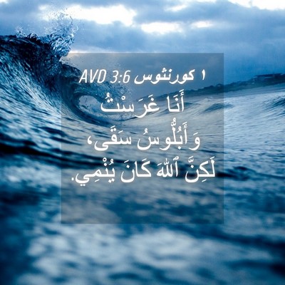 Picture 04 - ١ كورنثوس 3:6 AVD - أَنَا غَرَسْتُ - Bible Verse Picture