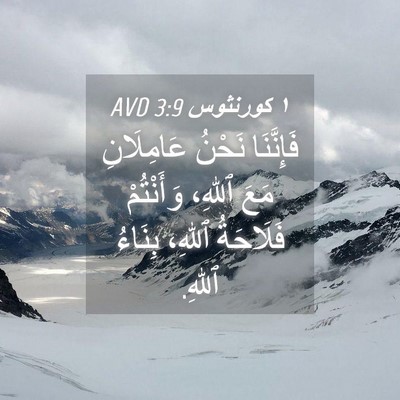 Picture 04 - ١ كورنثوس 3:9 AVD - فَإِنَّنَا نَحْنُ - Bible Verse Picture