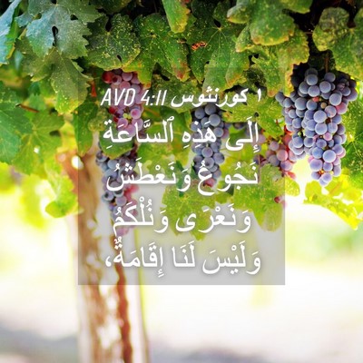 Picture 04 - ١ كورنثوس 4:11 AVD - إِلَى هَذِهِ ٱلسَّاعَةِ - Bible Verse Picture