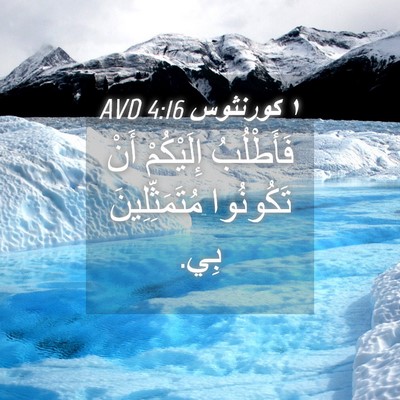Picture 04 - ١ كورنثوس 4:16 AVD - فَأَطْلُبُ إِلَيْكُمْ - Bible Verse Picture