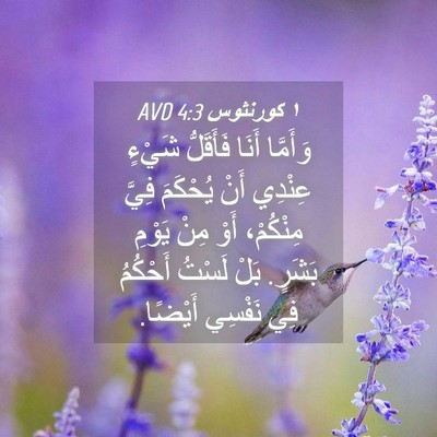 Picture 04 - ١ كورنثوس 4:3 AVD - وَأَمَّا أَنَا فَأَقَلُّ - Bible Verse Picture