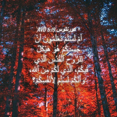Picture 04 - ١ كورنثوس 6:19 AVD - أَمْ لَسْتُمْ تَعْلَمُونَ - Bible Verse Picture