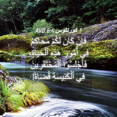 Picture 04 - ١ كورنثوس 6:4 AVD - فَإِنْ كَانَ لَكُمْ - Bible Verse Picture