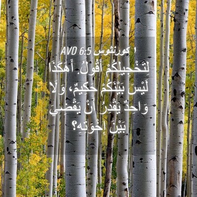 Picture 04 - ١ كورنثوس 6:5 AVD - لِتَخْجِيلِكُمْ أَقُولُ. - Bible Verse Picture