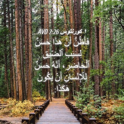 Picture 04 - ١ كورنثوس 7:26 AVD - فَأَظُنُّ أَنَّ هَذَا - Bible Verse Picture