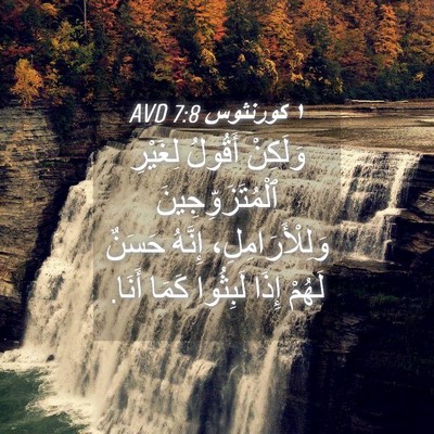 Picture 04 - ١ كورنثوس 7:8 AVD - وَلَكِنْ أَقُولُ لِغَيْرِ - Bible Verse Picture
