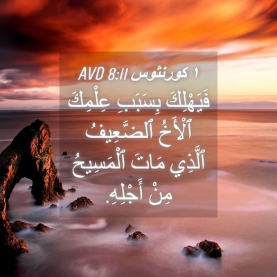 Picture 04 - ١ كورنثوس 8:11 AVD - فَيَهْلِكَ بِسَبَبِ - Bible Verse Picture