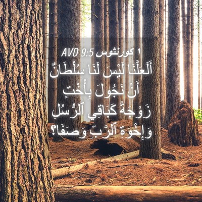 Picture 04 - ١ كورنثوس 9:5 AVD - أَلَعَلَّنَا لَيْسَ لَنَا - Bible Verse Picture