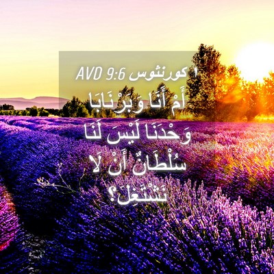 Picture 04 - ١ كورنثوس 9:6 AVD - أَمْ أَنَا وَبَرْنَابَا - Bible Verse Picture