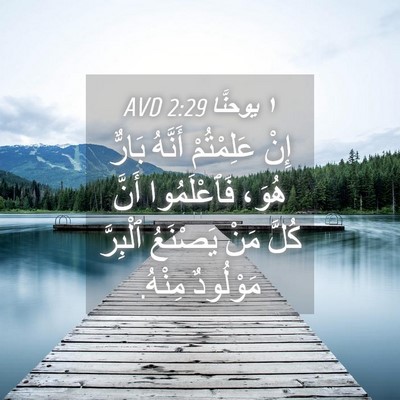 Picture 04 - ١ يوحنَّا 2:29 AVD - إِنْ عَلِمْتُمْ أَنَّهُ - Bible Verse Picture