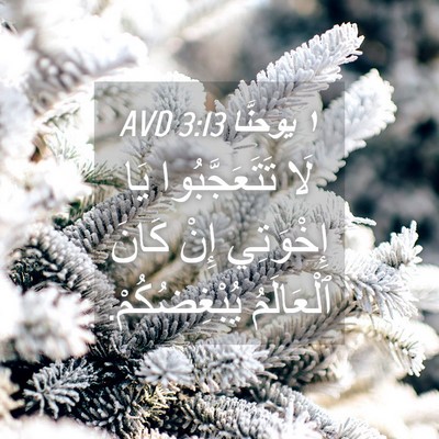 Picture 04 - ١ يوحنَّا 3:13 AVD - لَا تَتَعَجَّبُوا يَا - Bible Verse Picture