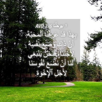 Picture 04 - ١ يوحنَّا 3:16 AVD - بِهَذَا قَدْ عَرَفْنَا - Bible Verse Picture