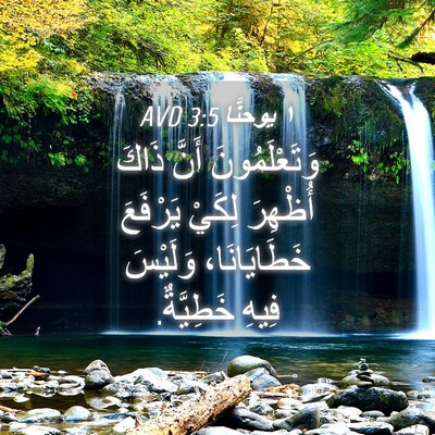 Picture 04 - ١ يوحنَّا 3:5 AVD - وَتَعْلَمُونَ أَنَّ ذَاكَ - Bible Verse Picture