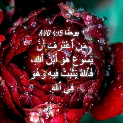 Picture 04 - ١ يوحنَّا 4:15 AVD - مَنِ ٱعْتَرَفَ أَنَّ - Bible Verse Picture