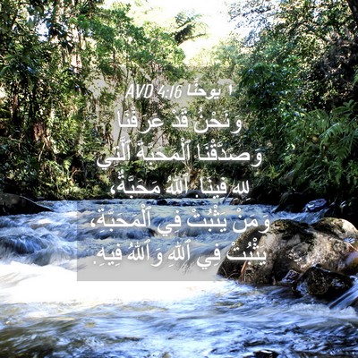 Picture 04 - ١ يوحنَّا 4:16 AVD - وَنَحْنُ قَدْ عَرَفْنَا - Bible Verse Picture