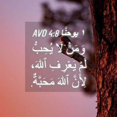 Picture 04 - ١ يوحنَّا 4:8 AVD - وَمَنْ لَا يُحِبُّ لَمْ - Bible Verse Picture
