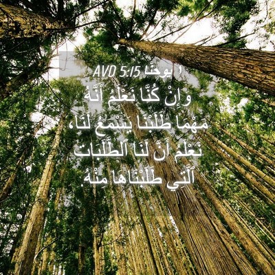 Picture 04 - ١ يوحنَّا 5:15 AVD - وَإِنْ كُنَّا نَعْلَمُ - Bible Verse Picture