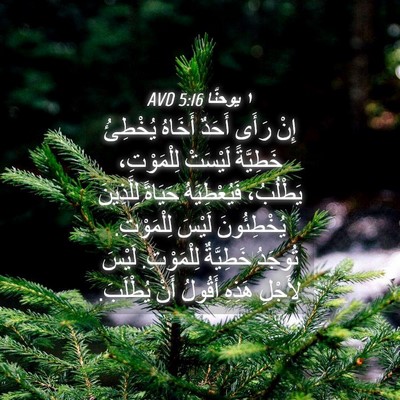 Picture 04 - ١ يوحنَّا 5:16 AVD - إِنْ رَأَى أَحَدٌ أَخَاهُ - Bible Verse Picture