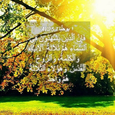 Picture 04 - ١ يوحنَّا 5:7 AVD - فَإِنَّ ٱلَّذِينَ - Bible Verse Picture