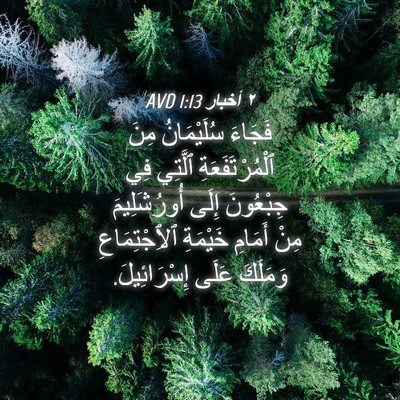 Picture 04 - ٢ أخبار 1:13 AVD - فَجَاءَ سُلَيْمَانُ مِنَ - Bible Verse Picture