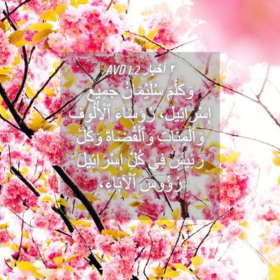 Picture 04 - ٢ أخبار 1:2 AVD - وَكَلَّمَ سُلَيْمَانُ - Bible Verse Picture