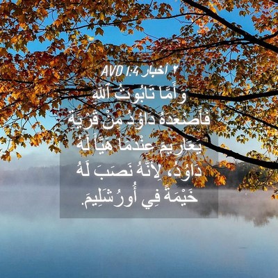 Picture 04 - ٢ أخبار 1:4 AVD - وَأَمَّا تَابُوتُ ٱللهِ - Bible Verse Picture