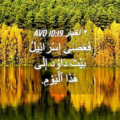 Picture 04 - ٢ أخبار 10:19 AVD - فَعَصَى إِسْرَائِيلُ - Bible Verse Picture
