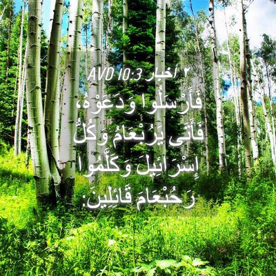 Picture 04 - ٢ أخبار 10:3 AVD - فَأَرْسَلُوا وَدَعَوْهُ، - Bible Verse Picture