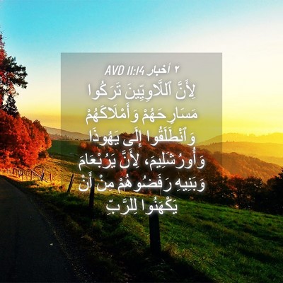Picture 04 - ٢ أخبار 11:14 AVD - لِأَنَّ ٱللَّاوِيِّينَ - Bible Verse Picture