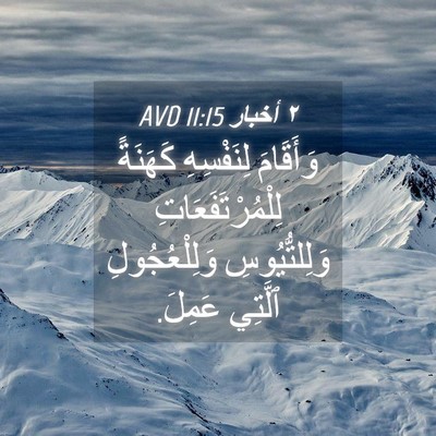Picture 04 - ٢ أخبار 11:15 AVD - وَأَقَامَ لِنَفْسِهِ - Bible Verse Picture