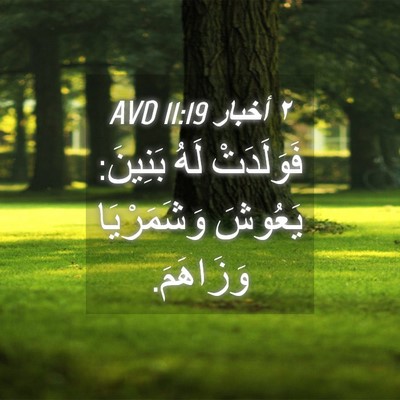 Picture 04 - ٢ أخبار 11:19 AVD - فَوَلَدَتْ لَهُ بَنِينَ: - Bible Verse Picture