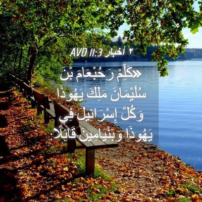 Picture 04 - ٢ أخبار 11:3 AVD - «كَلِّمْ رَحُبْعَامَ بْنَ - Bible Verse Picture