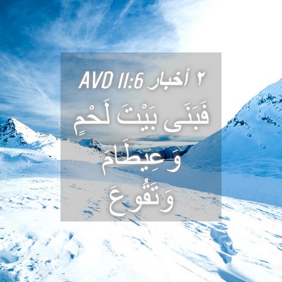 Picture 04 - ٢ أخبار 11:6 AVD - فَبَنَى بَيْتَ لَحْمٍ - Bible Verse Picture
