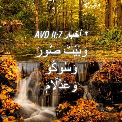 Picture 04 - ٢ أخبار 11:7 AVD - وَبَيْتَ صُورَ وَسُوكُوَ - Bible Verse Picture