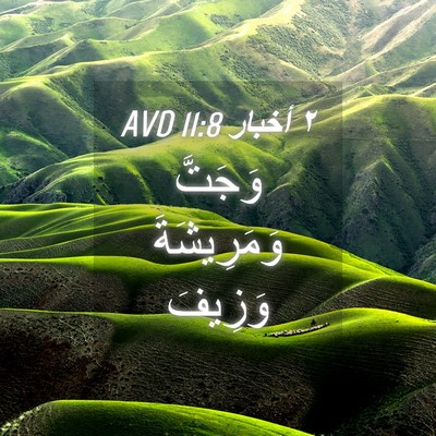 Picture 04 - ٢ أخبار 11:8 AVD - وَجَتَّ وَمَرِيشَةَ - Bible Verse Picture