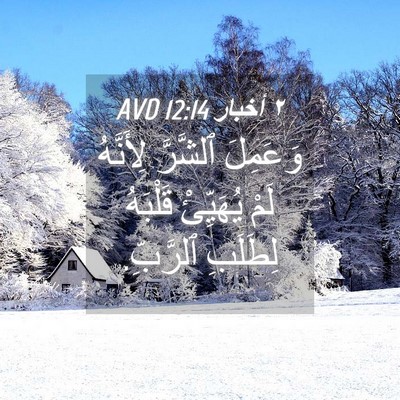 Picture 04 - ٢ أخبار 12:14 AVD - وَعَمِلَ ٱلشَّرَّ - Bible Verse Picture