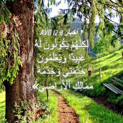 Picture 04 - ٢ أخبار 12:8 AVD - لَكِنَّهُمْ يَكُونُونَ - Bible Verse Picture