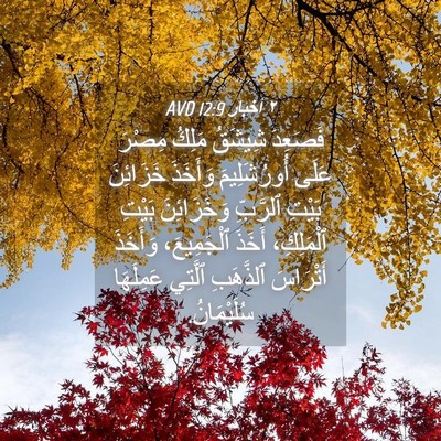 Picture 04 - ٢ أخبار 12:9 AVD - فَصَعِدَ شِيشَقُ مَلِكُ - Bible Verse Picture