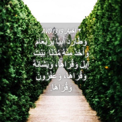 Picture 04 - ٢ أخبار 13:19 AVD - وَطَارَدَ أَبِيَّا - Bible Verse Picture