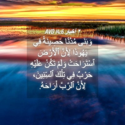 Picture 04 - ٢ أخبار 14:6 AVD - وَبَنَى مُدُنًا حَصِينَةً - Bible Verse Picture