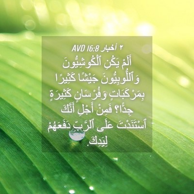 Picture 04 - ٢ أخبار 16:8 AVD - أَلَمْ يَكُنِ - Bible Verse Picture