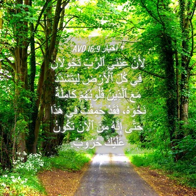 Picture 04 - ٢ أخبار 16:9 AVD - لِأَنَّ عَيْنَيِ ٱلرَّبِّ - Bible Verse Picture