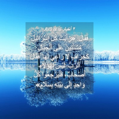 Picture 04 - ٢ أخبار 18:16 AVD - فَقَالَ: «رَأَيْتُ كُلَّ - Bible Verse Picture