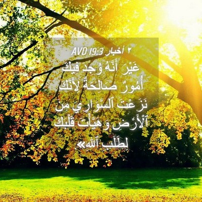 Picture 04 - ٢ أخبار 19:3 AVD - غَيْرَ أَنَّهُ وُجِدَ - Bible Verse Picture