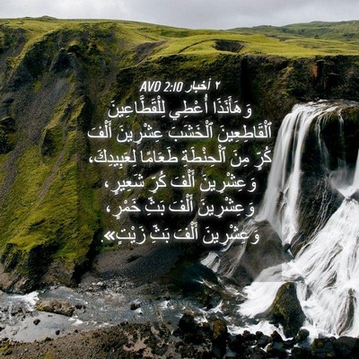 Picture 04 - ٢ أخبار 2:10 AVD - وَهَأَنَذَا أُعْطِي - Bible Verse Picture