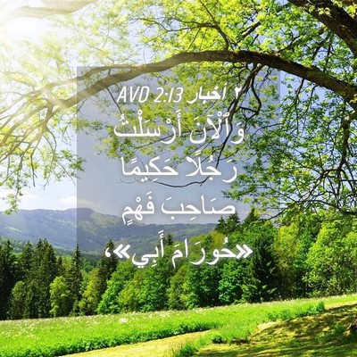 Picture 04 - ٢ أخبار 2:13 AVD - وَٱلْآنَ أَرْسَلْتُ - Bible Verse Picture